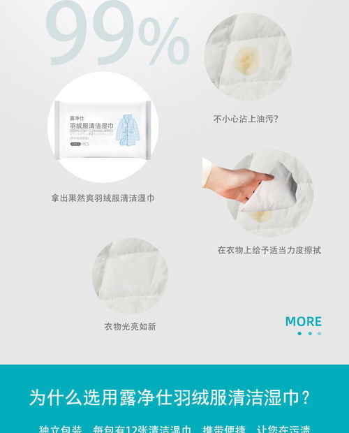 冬季干洗劑 家用免洗去污神器，輕松告別頑固污漬